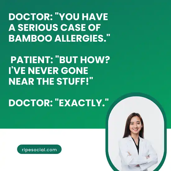 Bamboo Puns To Laugh