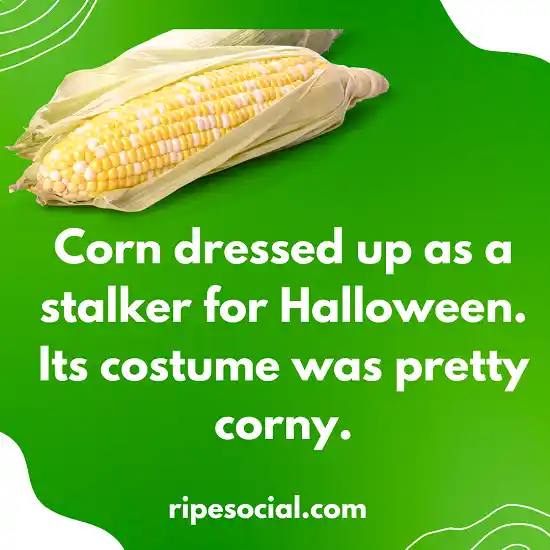 Funny Jokes About Corn