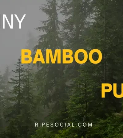 bamboo puns jokes