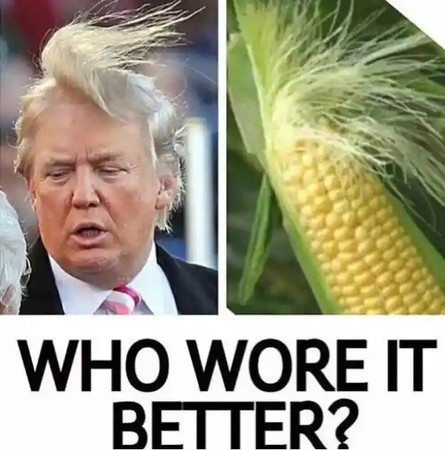 corn hay joke