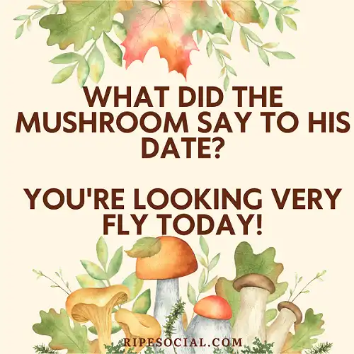 funny jokes mushroom