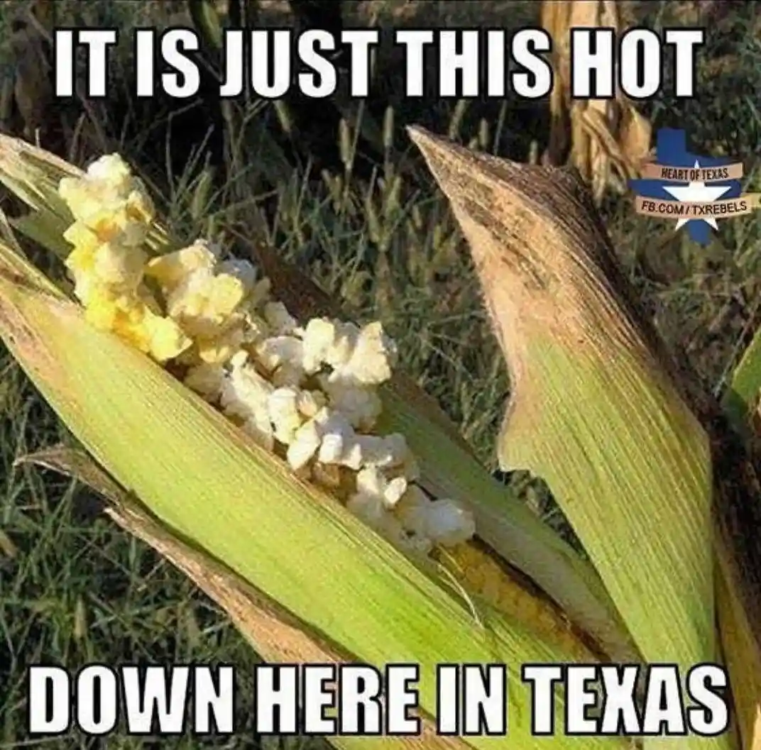 hot corn pun