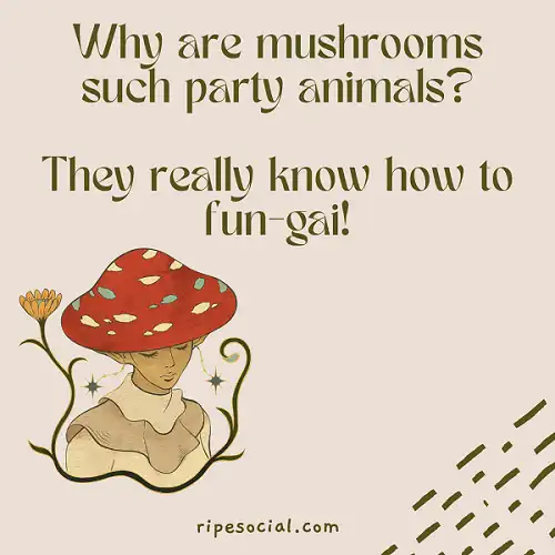 jokes and puns about mushroom