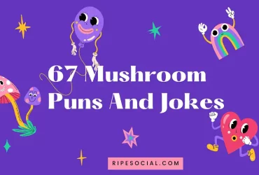 mushroom jokes and puns