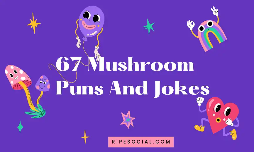 mushroom jokes and puns