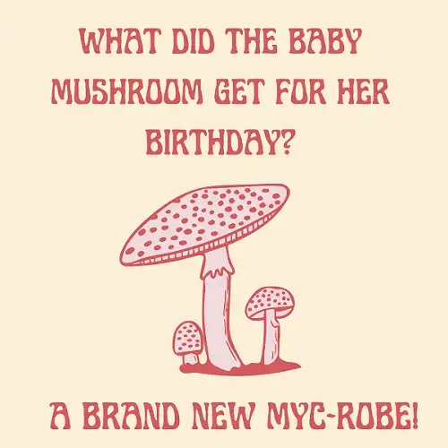 mushroom jokes puns