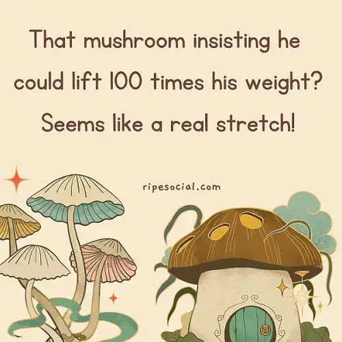 onliner puns about mushroom