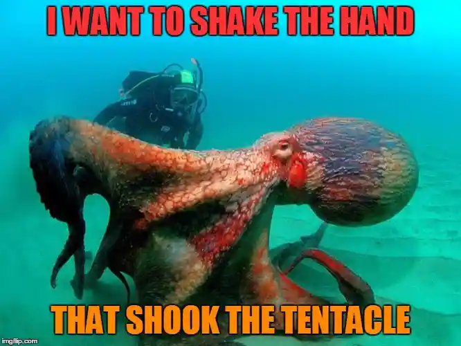 tentacle meme joke