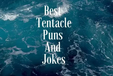tentacle puns