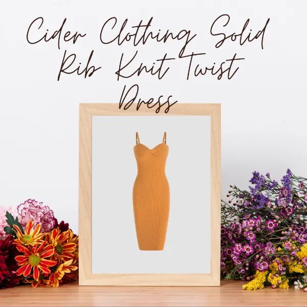 Cider Clothing Solid Rib Knit Twist Dress