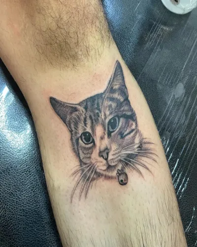 Cat Tattoo On Forearm