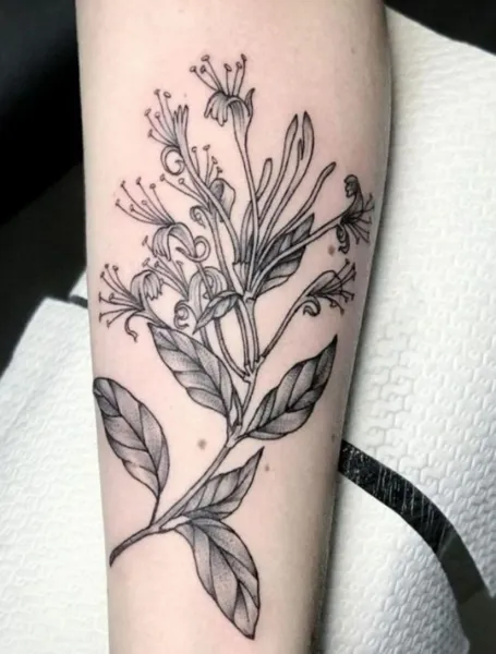 June Birth Flower Tattoo Honeysuckle