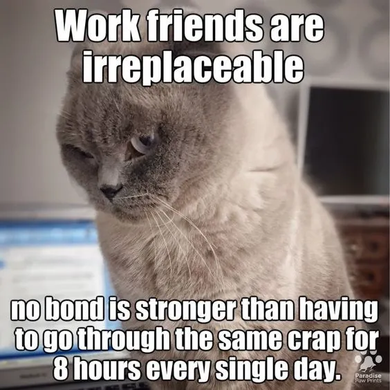 work friends coworker meme