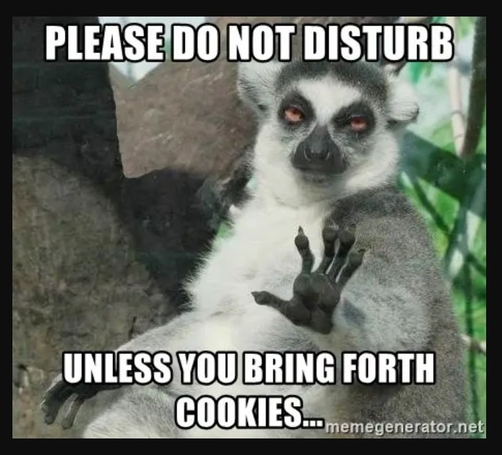 you bring forth cookies do not disturb meme