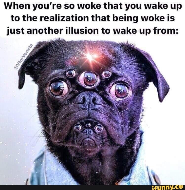  just another illusion woke meme funny