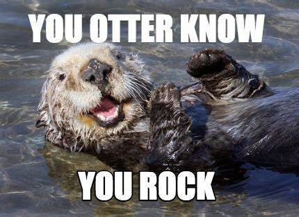  you otter you rock meme