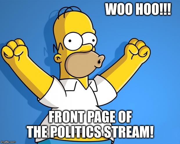  politics stream woohoo meme homer