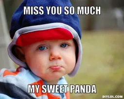 my sweet panda i missed you meme