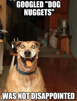 dog nuggets dog disappointed meme