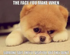 they will visit you I miss you dog meme