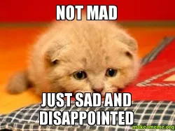  sad disappointed cat memes