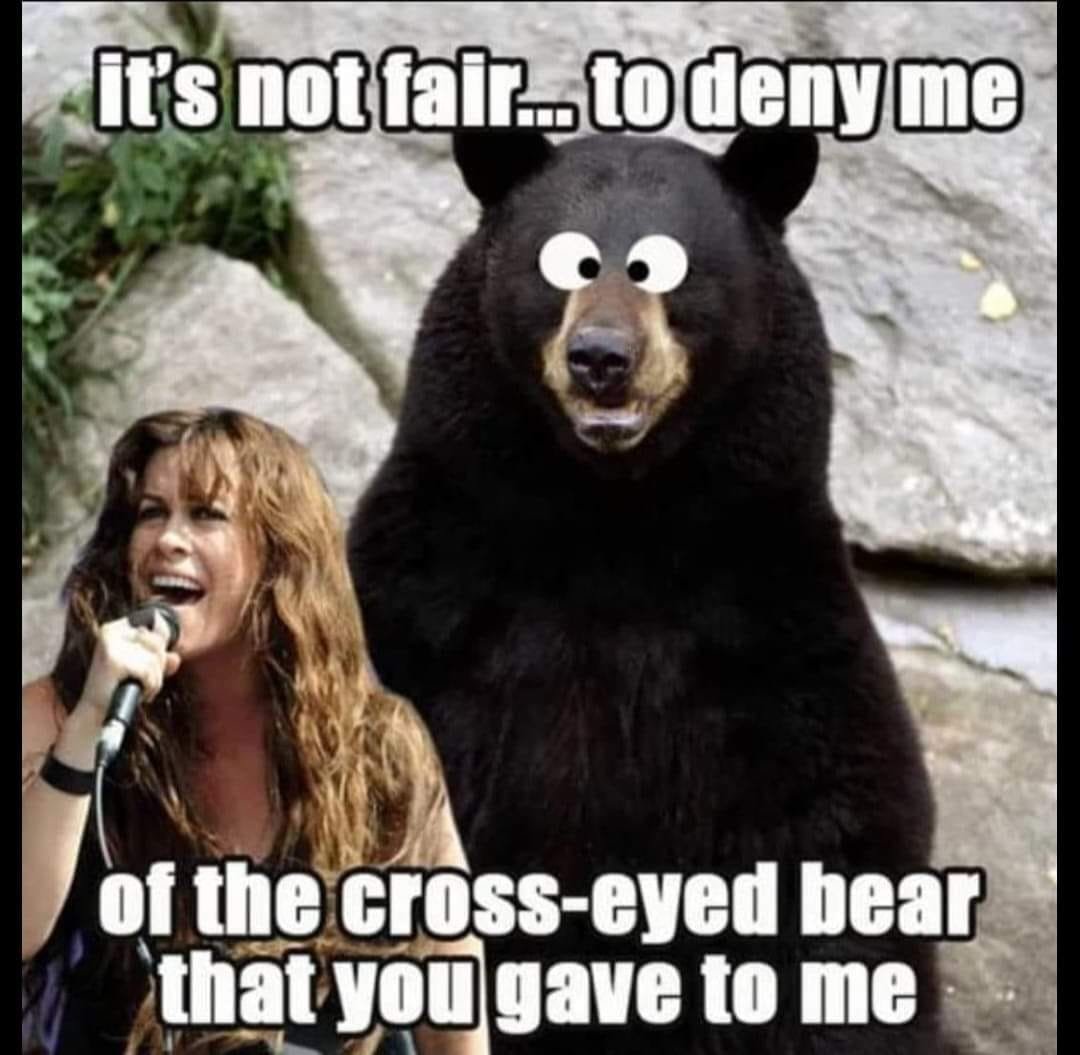 Cross Eyed Bear Memes