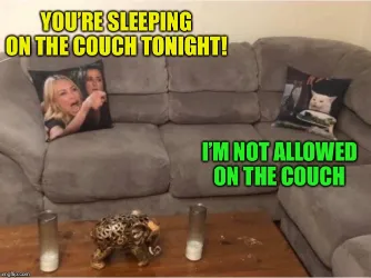 girl sleeping on couch meme