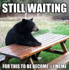 Bear Waiting On Meme