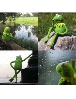 Blank Kermit Waiting Meme