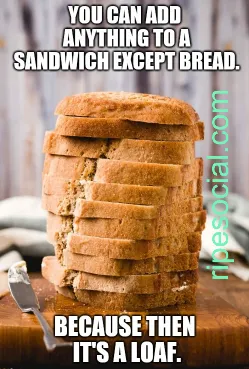 bread sandwich meme