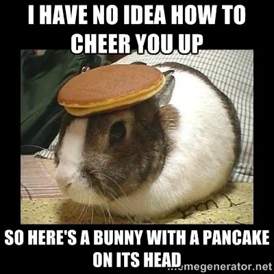 Pancake Bunny Meme