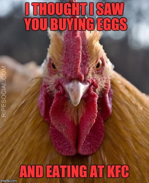 buying chicken eggs meme