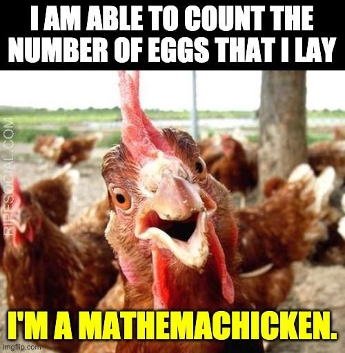 chicken egg meme