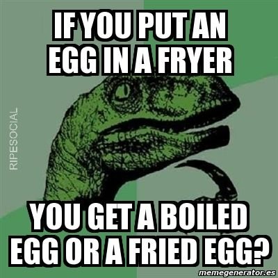 egg in a fryer meme
