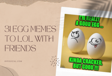 egg meme
