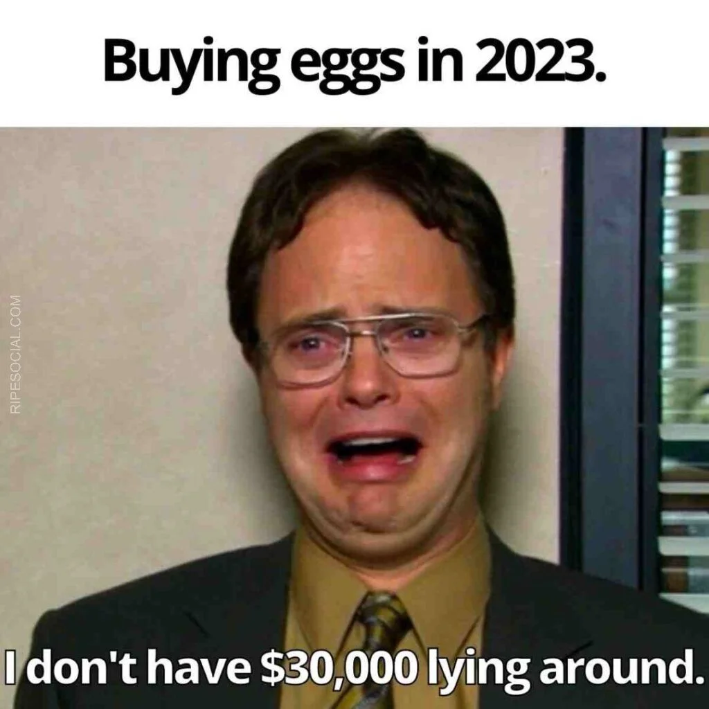 egg price funny meme