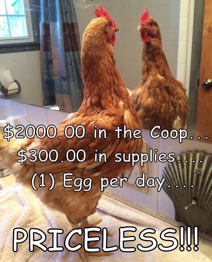 eggs are expensive meme