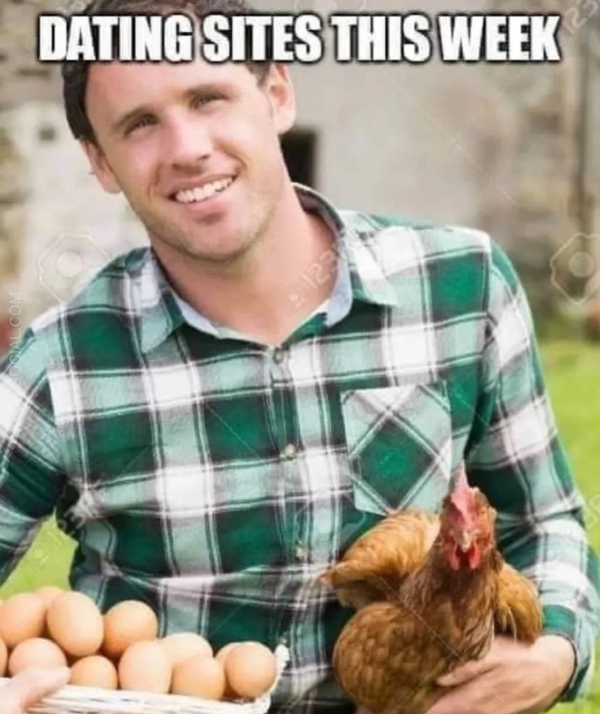 expensive eggs meme