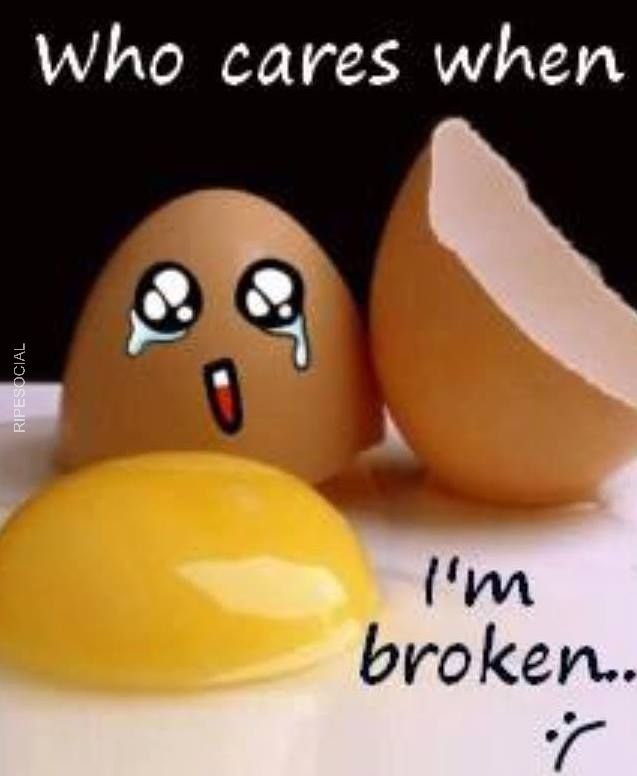 funny broken egg meme