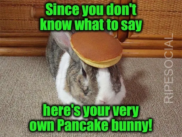 pancake bunny own meme