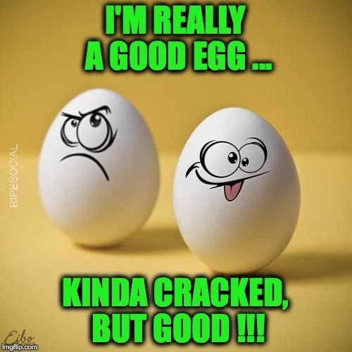 really good egg meme