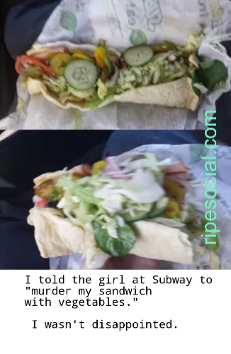 subway sandwich meme