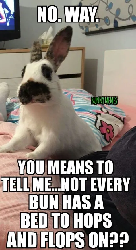 bugs bunny nope meme