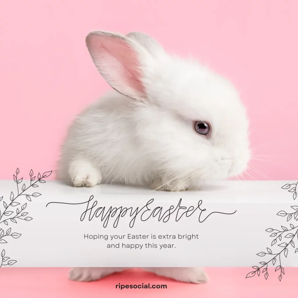 bunny happy easter meme
