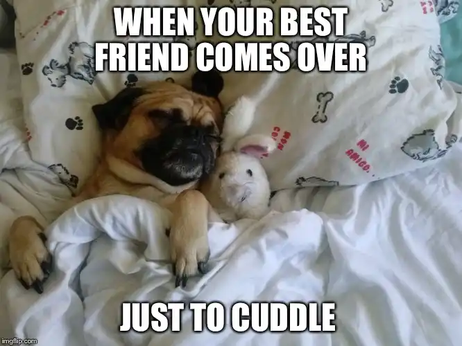 cuddling a friend meme