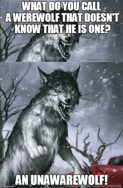 funny were wolf meme
