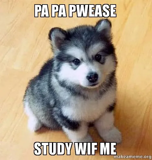 papa pwease study wif meme