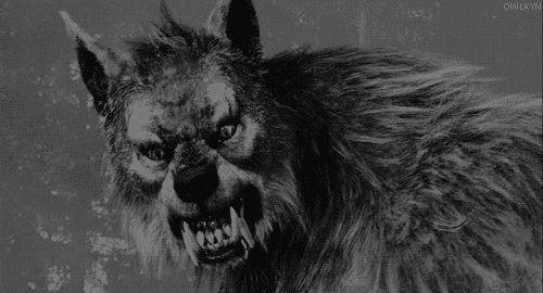scaring werewolf meme gif