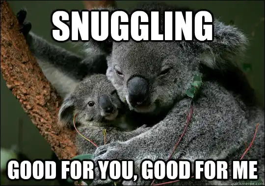 snuggling koala meme
