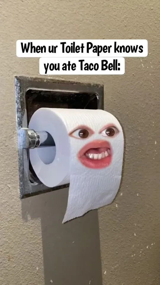 toilet paper meme